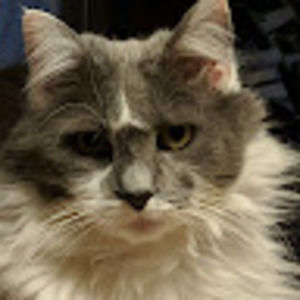 Meet your Posher, Nickalis